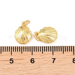 Charms in ottone&nbsp;KK-F927-14A-G
