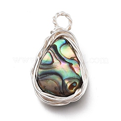 Pendentif coquille d'ormeau naturel / coquille paua&nbsp;PALLOY-JF00477-02