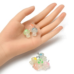 10 Stück 5 Farben leuchtende Harzanhänger&nbsp;RESI-YW0001-37
