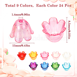 216 Stück 9 Farben UV-beschichtete Acrylperlenkappen&nbsp;MACR-SC0001-38