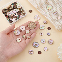 Natürliche Knöpfe aus Paua-Muschel&nbsp;BUTT-GA0001-32