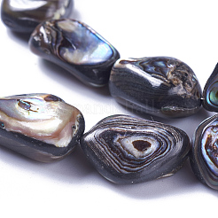 Natürliche Abalone Muschel / Paua Muschel Perlen Stränge&nbsp;SSHEL-F303-08A