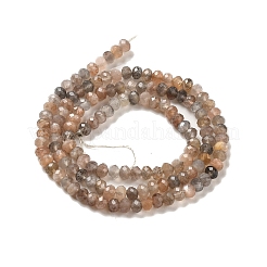 Fili di perline multi-moonstone naturali&nbsp;G-B074-A08-01