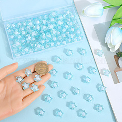 120pcs perles acryliques transparentes&nbsp;TACR-SP0001-11C