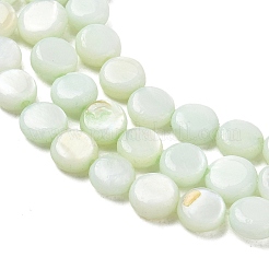 Hebras de cuentas de moneda de concha de agua dulce natural&nbsp;SH-CBACA76-17C