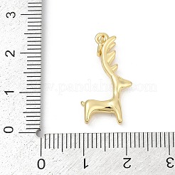 Messing Anhänger & Charms&nbsp;KK-U062-40G