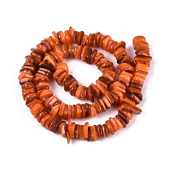 Natürlichen Süßwasser-Muschelperlen Stränge&nbsp;SHEL-N037-01B