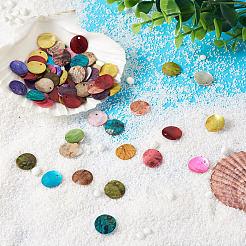 100 Stück 10 Farben Sprühfarbe natürliche Akoya-Muschel Anhänger&nbsp;SHEL-CD0001-01