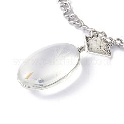 Collier de souhait de graines de pissenlit pour cadeau de femme adolescente&nbsp;NJEW-Z014-03P