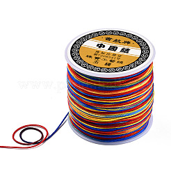 Cordon tressé en nylon teint par segment&nbsp;NWIR-N016-01A