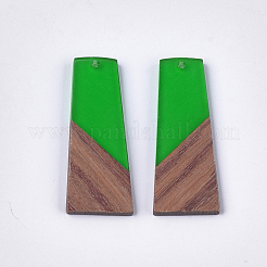Colgantes de resina y madera de nogal&nbsp;X-RESI-S358-83E