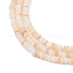 Eau douce naturelle de coquillage perles brins&nbsp;SHEL-P017-01A-10