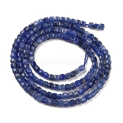 Natur Sodalith Perlen Stränge&nbsp;G-H042-B08-01