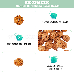 70 Stück ungefärbte natürliche Rudraksha-Perlen&nbsp;WOOD-DC0001-27