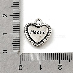 Tibetischer stil Aluminium Anhänger & Charms&nbsp;PALLOY-R157-01AS-04