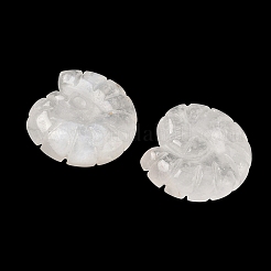 Dekorationen aus natürlichem Quarzkristall-Muschel&nbsp;DJEW-D303-01E