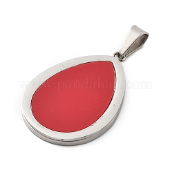 Pendentifs en acier inoxydable 304&nbsp;STAS-F313-11P