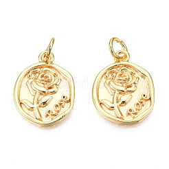 Messing Anhänger & Charms&nbsp;KK-N233-398
