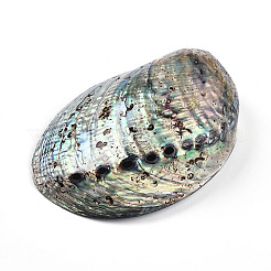 Perles de coquillage paua naturel&nbsp;SSHEL-Q298-22