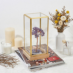 Vitrine mit Messingdeckel und Holzsockel&nbsp;DJEW-WH0028-072