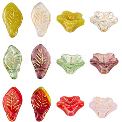 60pcs 2 Arten transparente Glasperlen&nbsp;GLAA-SC0002-96