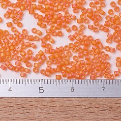 Miyuki Delica Perlen&nbsp;SEED-X0054-DB0855