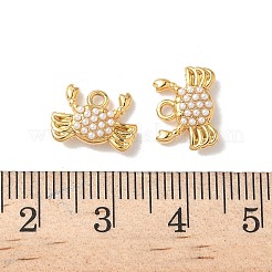 Anhänger aus 304 Edelstahl&nbsp;STAS-H483-26B-G