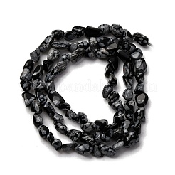 Naturschneeflocke Obsidian Perlen Stränge&nbsp;G-I389-A24