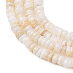 Naturali di acqua dolce perline shell fili&nbsp;SH-CBA2978-05A