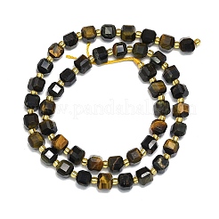 Tigre naturale perle occhio filo&nbsp;G-I376-D10-01