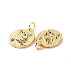 Colgantes de circonitas cúbicas micro pavé de latón con diseño de conchas ovaladas&nbsp;KK-G435-10G