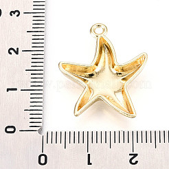 Aluminium Anhänger & Charms&nbsp;FIND-N010-11G