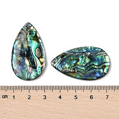 Pendentifs en paua naturel&nbsp;SSHEL-I026-08B