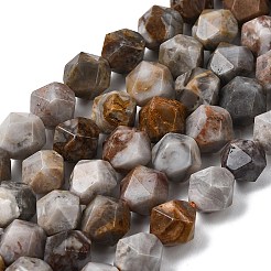 Natürliche Gobi Achat Perlen Stränge&nbsp;G-Z119-A36-03