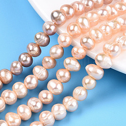 Hebras de perlas de agua dulce cultivadas naturales, patata, peachpuff, 6~9x6.5~7.5mm, agujero: 0.6 mm, aproximamente 53~55 pcs / cadena, 13.78~14.17 pulgada (35~36 cm)