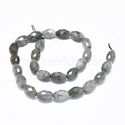 Chapelets de perles en labradorite naturelle , facette, ovale, 15.5~16x10~10.5mm, Trou: 1mm, Environ 25 pcs/chapelet, 15.7~15.8 pouce (40~40.2 cm)