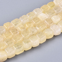 Brins de perles de dolomite naturelles, teinte, cube, champagne jaune, 7~8x7~8x7~8mm, Trou: 1.2mm, Environ 50~52 pcs/chapelet, 14.76 pouce ~ 15.35 pouces (37.5 cm ~ 39 cm)