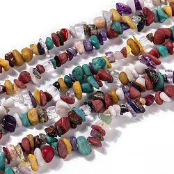 Copeaux de pierre naturelle et synthétique perles brins, 5~8x5~8mm, Trou: 1mm, environ 32 pouce