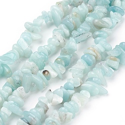 Chapelets de perles en amazonite naturelle, puces, bleu ciel, 4~11x3~8x2~10mm, Trou: 1mm, environ 32~34 pouce