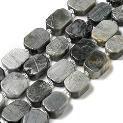 Cuentas de piedra de ojo de águila natural hebras, con abalorios de la semilla, rectángulo facetas, 11.5~15x10~11x6~7mm, agujero: 1.2 mm, aproximamente 26 pcs / cadena, 15.79 pulgada (40.1 cm)