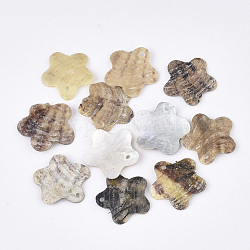 Pendentifs coquillage akoya naturel, pendentifs coquille en nacre, fleur, tan, 19x19~20x2~3mm, Trou: 1.2mm