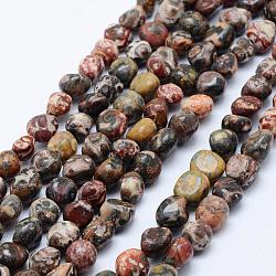 Fili di perline jasper naturali di pelle di leopardo, pietra burrattata, pepite, 6~13x6~8mm, Foro: 1 mm, 15.3 pollice ~ 15.7 pollici (39~40 cm)