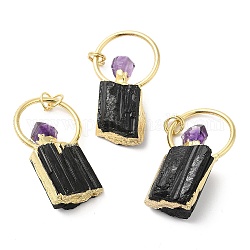 Natural Black Tourmaline and Amethyst Pendants, Perfume Bottle Charms with Rack Plating Brass Findings, Cadmium Free & Lead Free, Golden, 44~60x25x11.5~17mm, Hole: 3.5mm