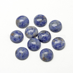 Cabochons de jaspe tache bleue naturelle, demi-rond / dôme, 12x5mm