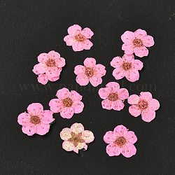 Narcisse gaufrant des fleurs séchées, pour téléphone portable, Cadre photo, scrapbooking bricolage fait main artisanat, rose, 7mm, 20 pcs / boîte