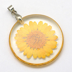 Alloy Resin Pendants, Flat Round, with Dried Flower inside, Platinum, Gold, 32~32.5x4~4.5mm, Hole: 4x4mm