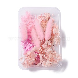 Fiori secchi, accessori per la produzione di sapone per candele fai da te, con scatola rettangolare in plastica, perla rosa, 7~13x1.2~9.7cm