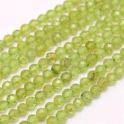 Natural Peridot Beads Strands, Faceted, Round, 2mm, Hole: 0.5mm, about 210~220pcs/strand, 15.7 inch(40cm)