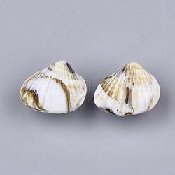Perles acryliques, style de pierres fines imitation, forme coquille, floral blanc, 17.5x20.5x15mm, Trou: 2mm, environ 180 pcs/500 g