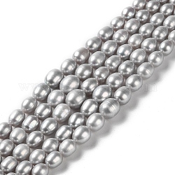 Fili di perle di perle d'acqua dolce coltivate naturali, riso sfumato, tinto, grigio chiaro, 4~10x4~9mm, Foro: 0.5 mm, circa 56pcs/filo, 15.83'' (40.2 cm)
